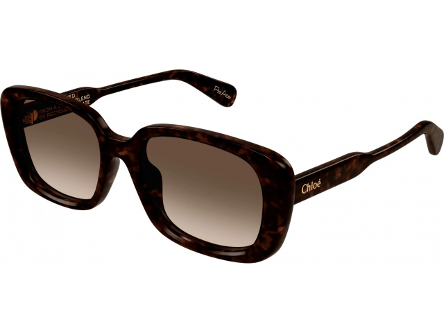Chloe CH0225SK-002 55  