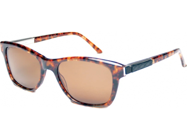 Leisure Society Brown, TORT (s)