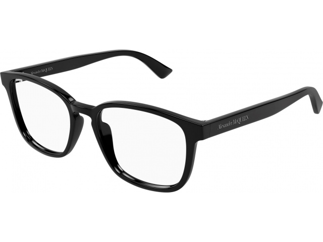 Alexander McQueen AM0462O-001 53 