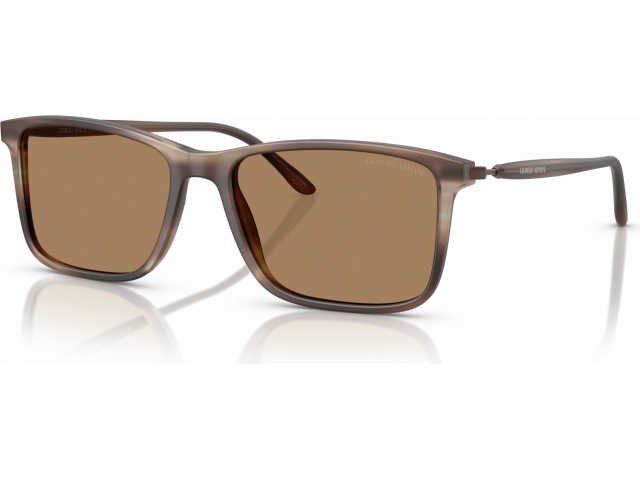 Giorgio Armani AR8218 6167M4 Brown
