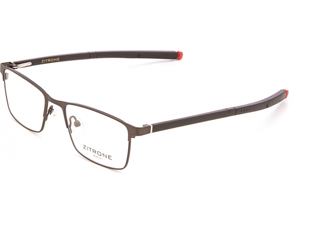 Zitrone ZN 11-009 07