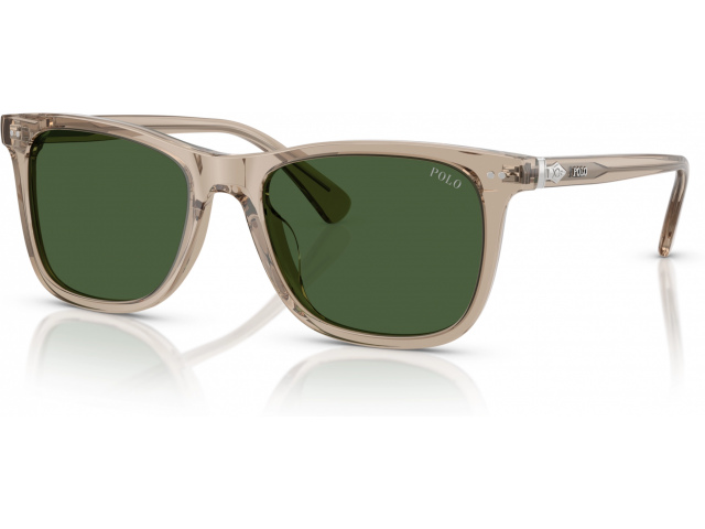 Polo PH4220U 620171 Brown