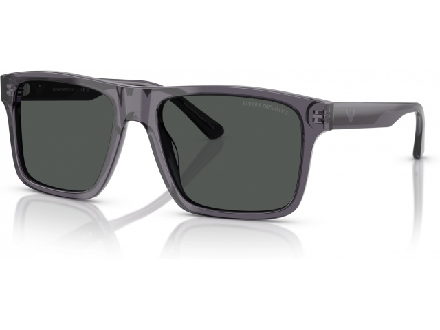 Emporio Armani EA4232 610687 Grey