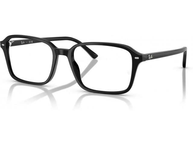 Ray-Ban RAIMOND RX5431 2000 Black