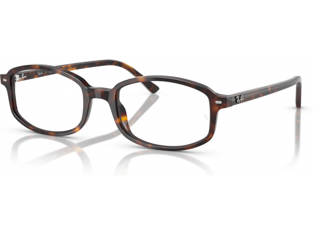 Ray-Ban SAM RX5432 2012 Tortoise