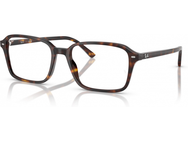 Ray-Ban RAIMOND RX5431 2012 Tortoise