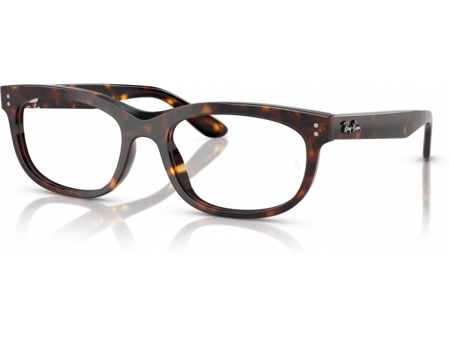 Ray-Ban BALORETTE RX5489 2012 Tortoise