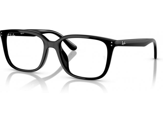 Ray-Ban RX7248D 2000 Black