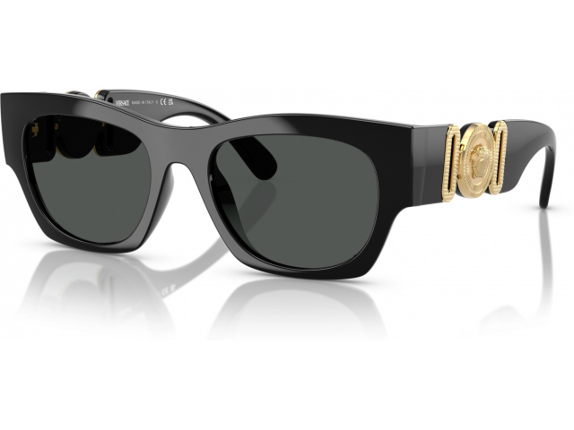 Versace VE4479U GB1/87 Black