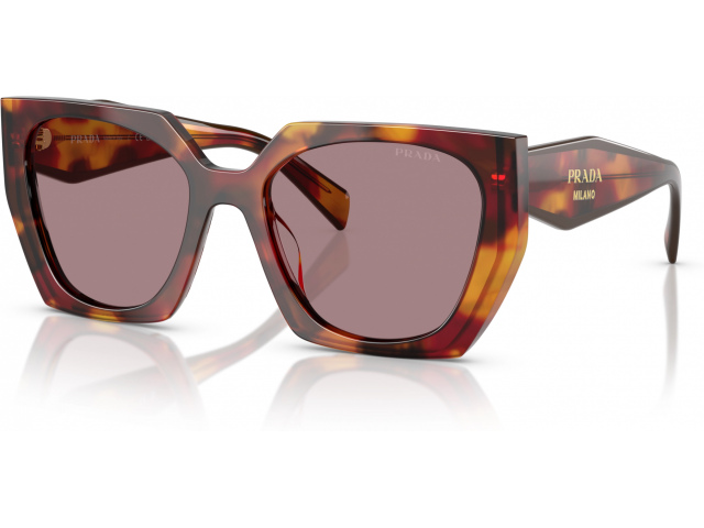 Prada PR 15WS 22A20I Tortoise