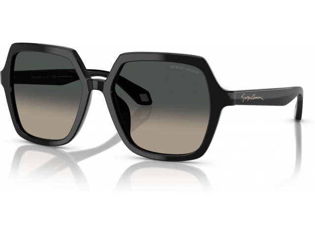 Giorgio Armani AR8193U 500119 Black