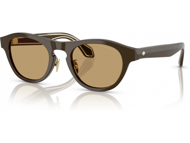Giorgio Armani AR8225 619473 Brown