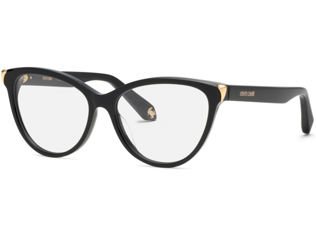 ROBERTO CAVALLI VRC102M 700,  SHINY BLACK, CLEAR