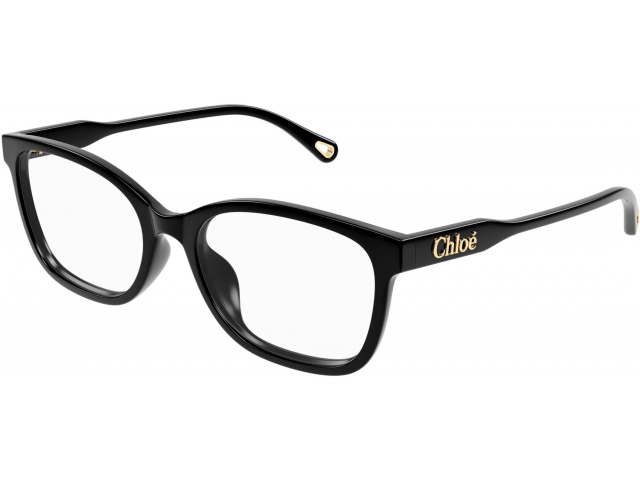 Chloe CH0276OA-001 54 