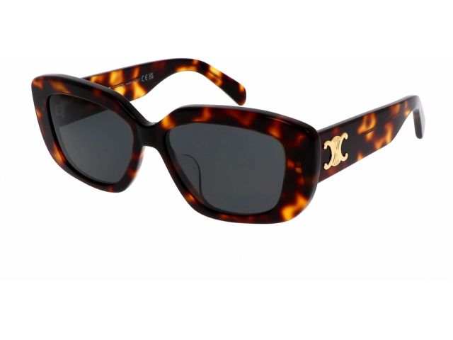 Celine Triomphe CL40216F 53A 55