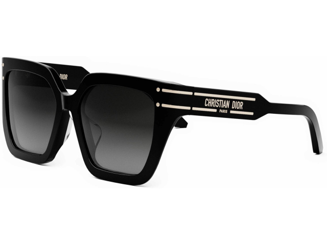 Christian Dior DIORSIGNATURE S10F 10A1 55 CD40131F 01B 55