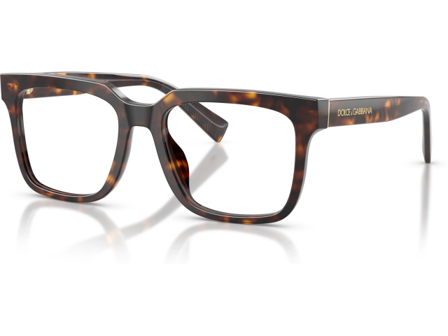 Dolce & Gabbana DG3422 502 Tortoise
