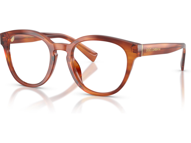 Dolce & Gabbana DG3421 3221 Brown