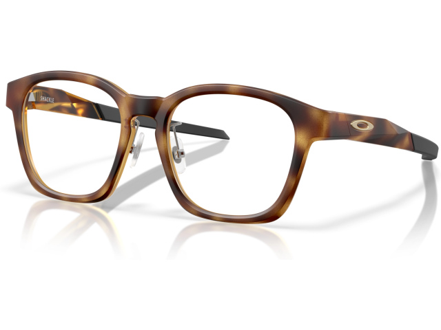 Oakley SHACKLE OX8197D 819704 Brown