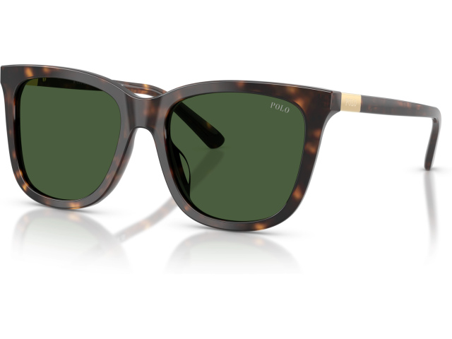 Polo PH4201U 500371 Tortoise