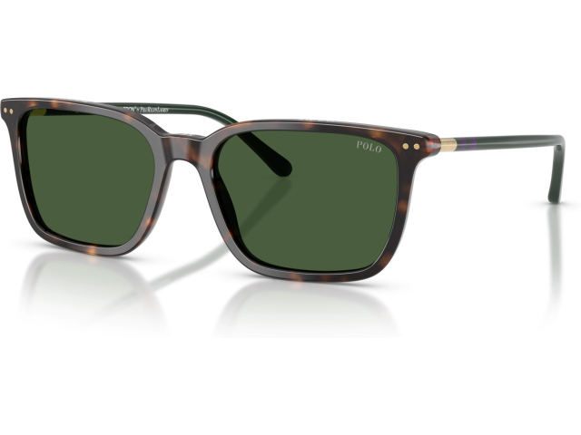 Polo PH4226 567371 Tortoise