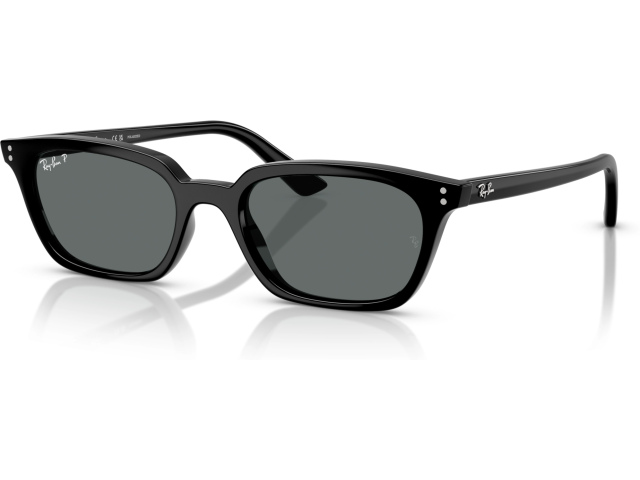 Ray-Ban ZAYA RB4456 667781 Black