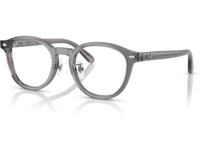 Ray-Ban RX5443D 8268 Grey