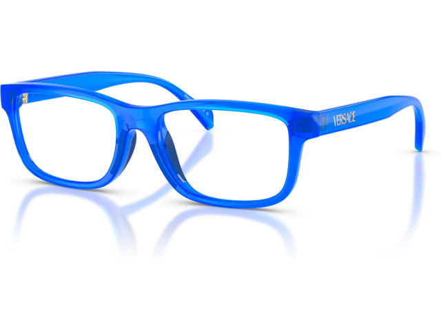 Versace VK3013U 5536 Blue