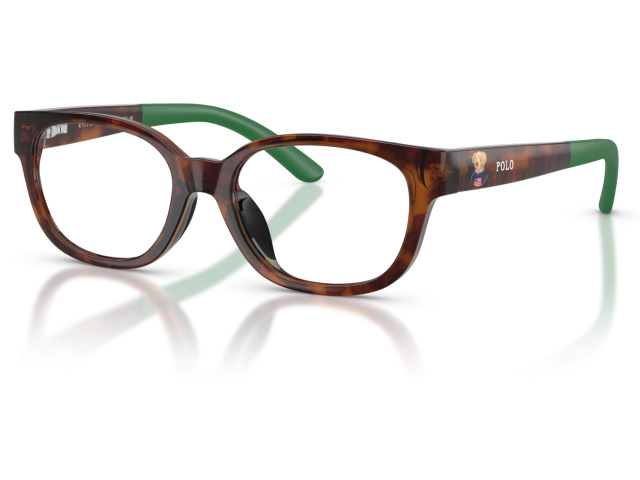 Polo PP8551U 5003 Tortoise