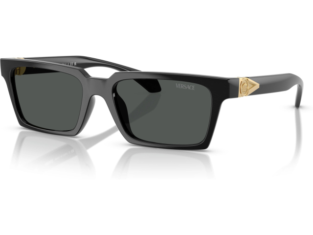 Versace VE4490U GB1/87 Black