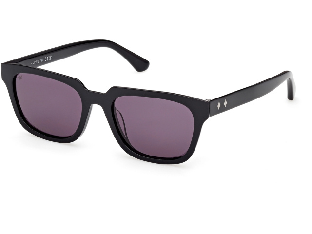 Web Eyewear WE 0391 01A 53